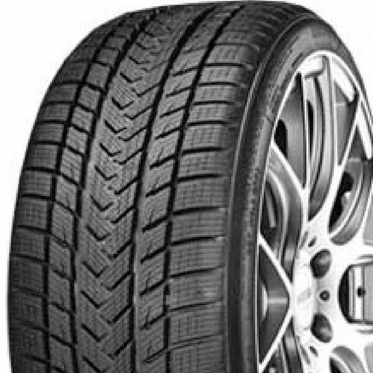 Gripmax Pro Winter 335/25 R 22 105V